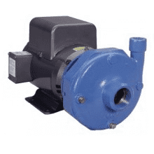 Goulds 22BF1J4B0 5HP Bronze Fitted Centrifugal Pump TEFC