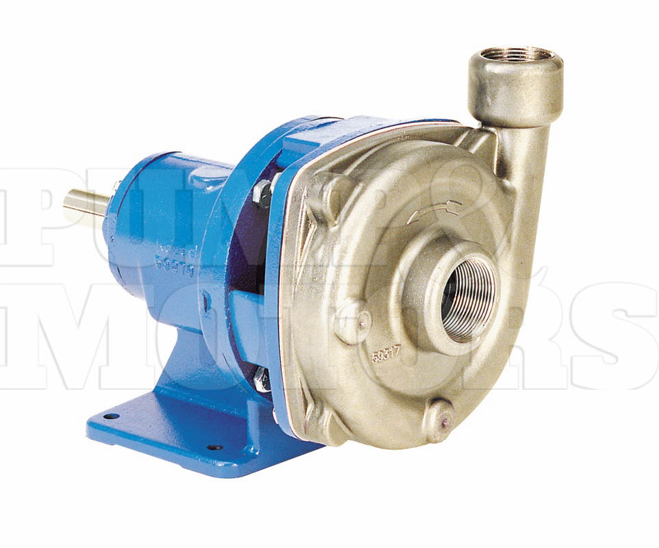 Goulds 1SSFRMB0 Stainless Steel End Suction Bare Pump